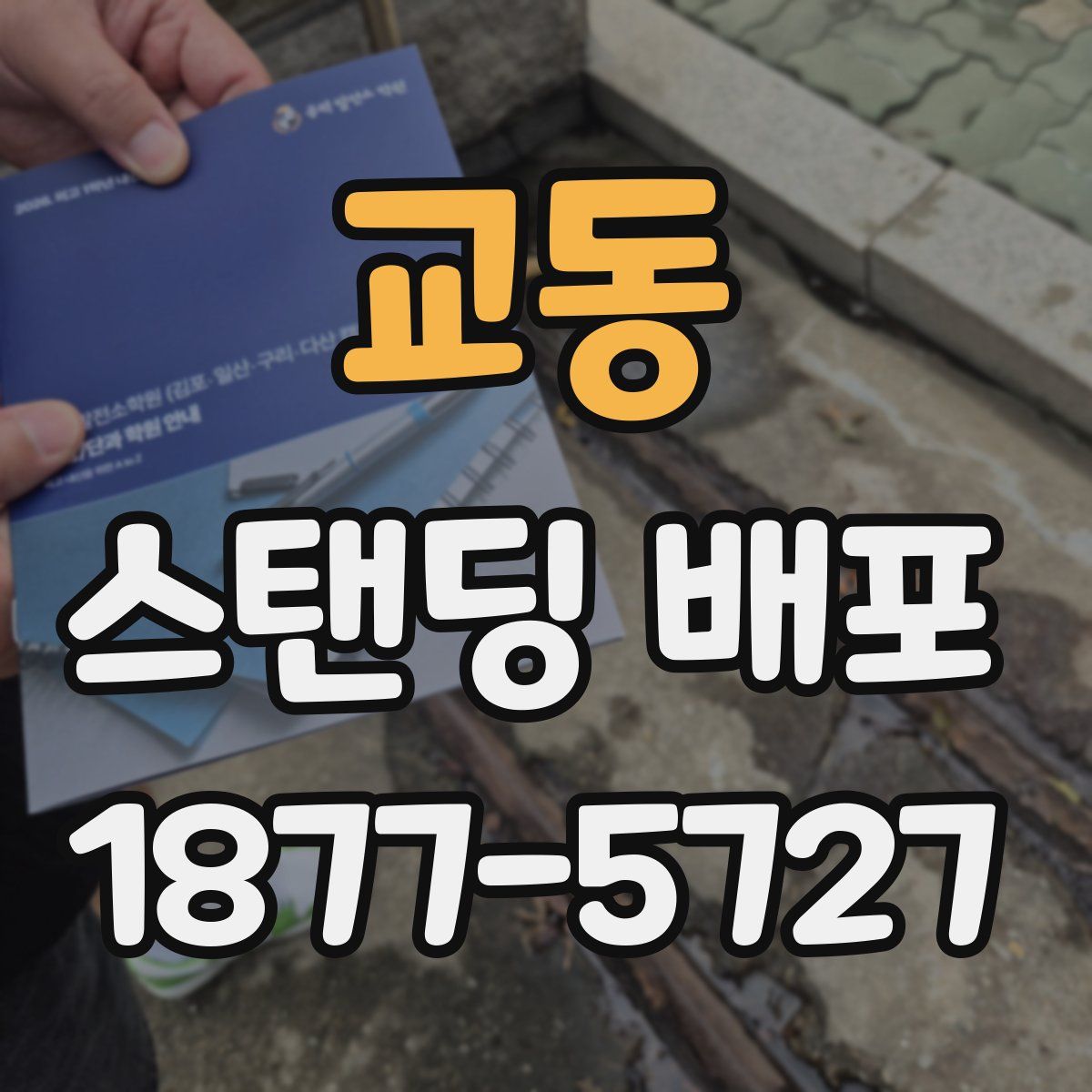 교동 스탠딩 배포