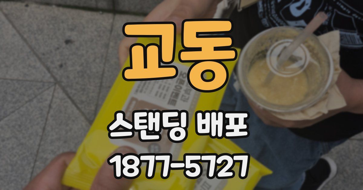 교동 스탠딩 배포