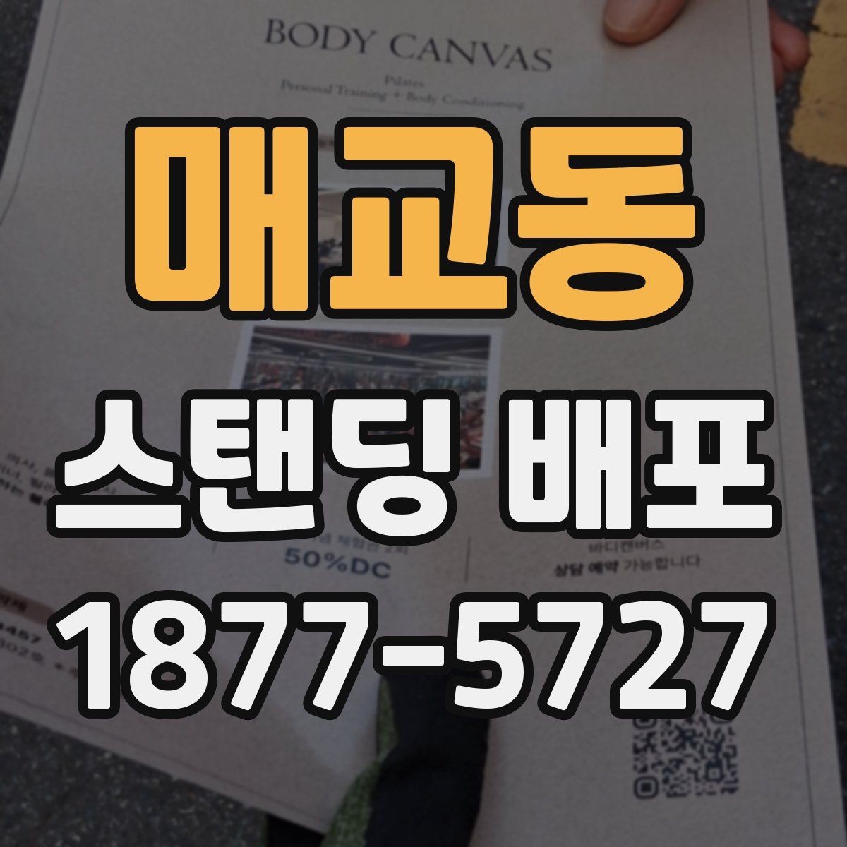 매교동 스탠딩 배포