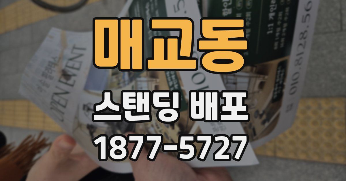 매교동 스탠딩 배포