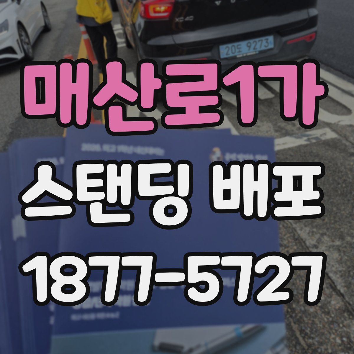 매산로1가 스탠딩 배포