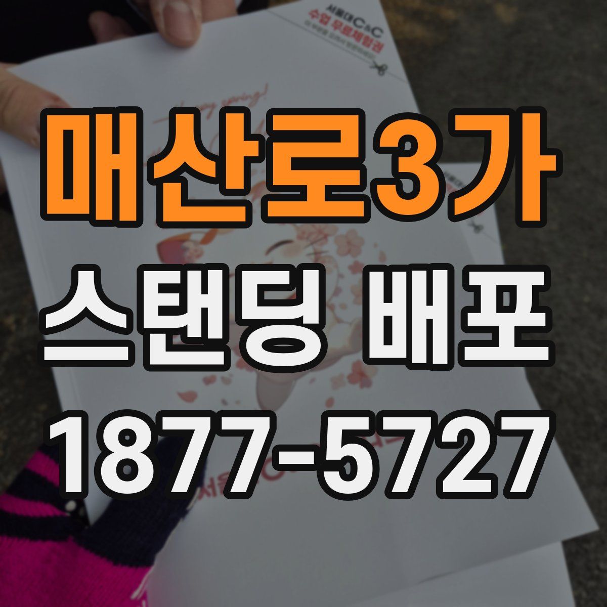 매산로3가 스탠딩 배포