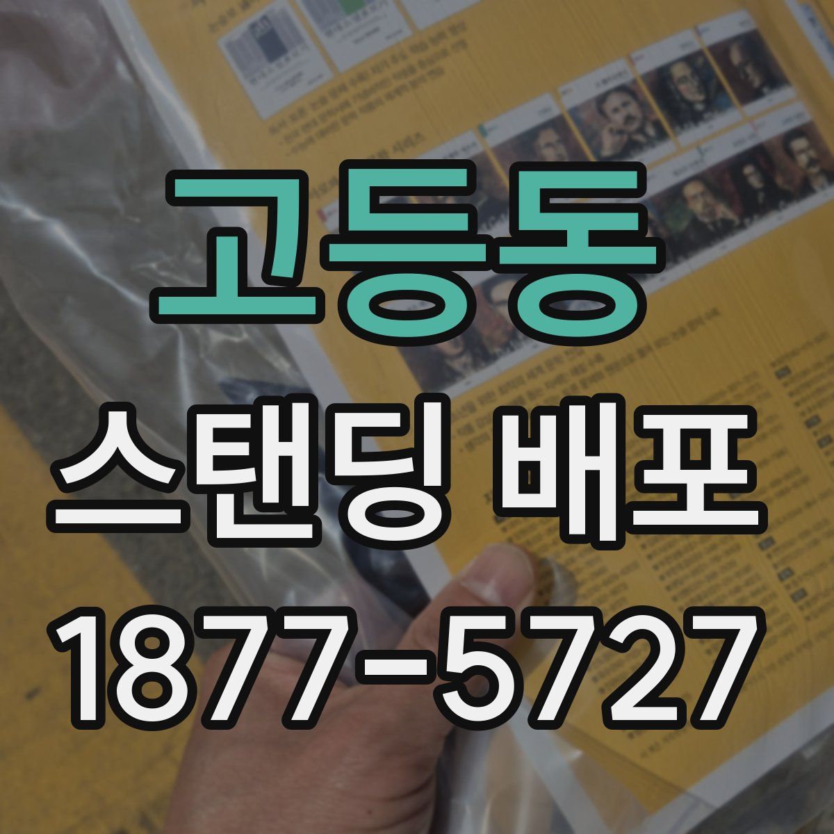 고등동 스탠딩 배포