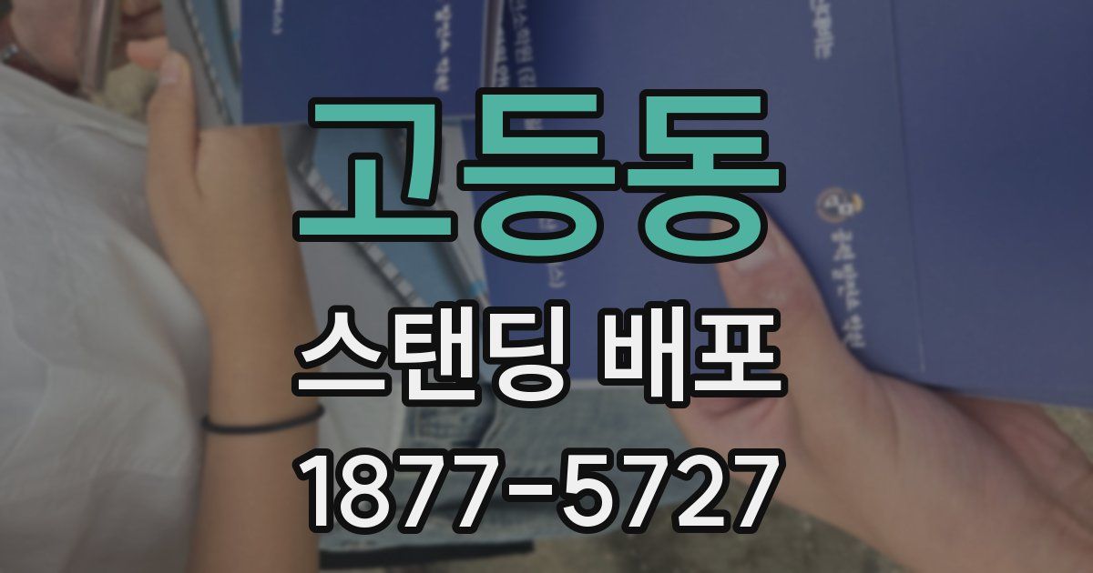 고등동 스탠딩 배포