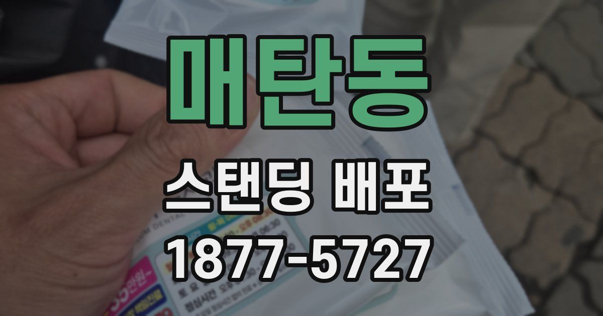 매탄동 스탠딩 배포