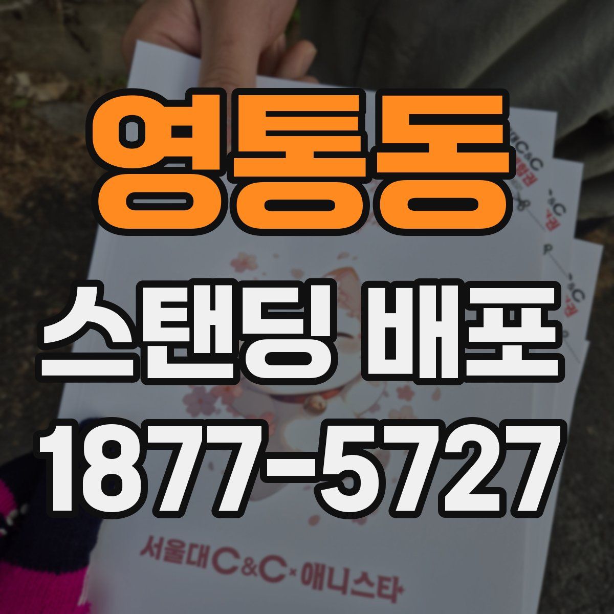 영통동 스탠딩 배포