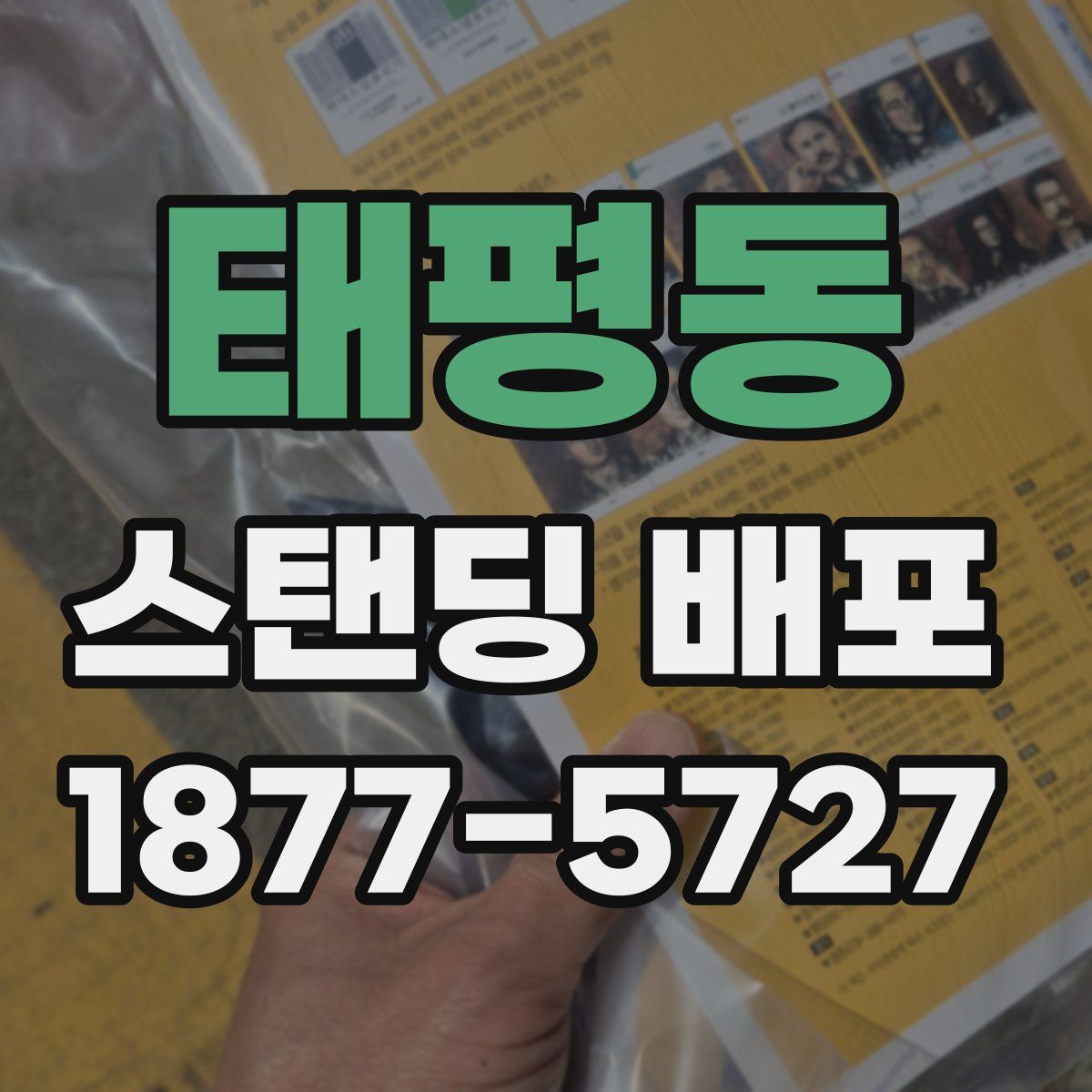 태평동 스탠딩 배포