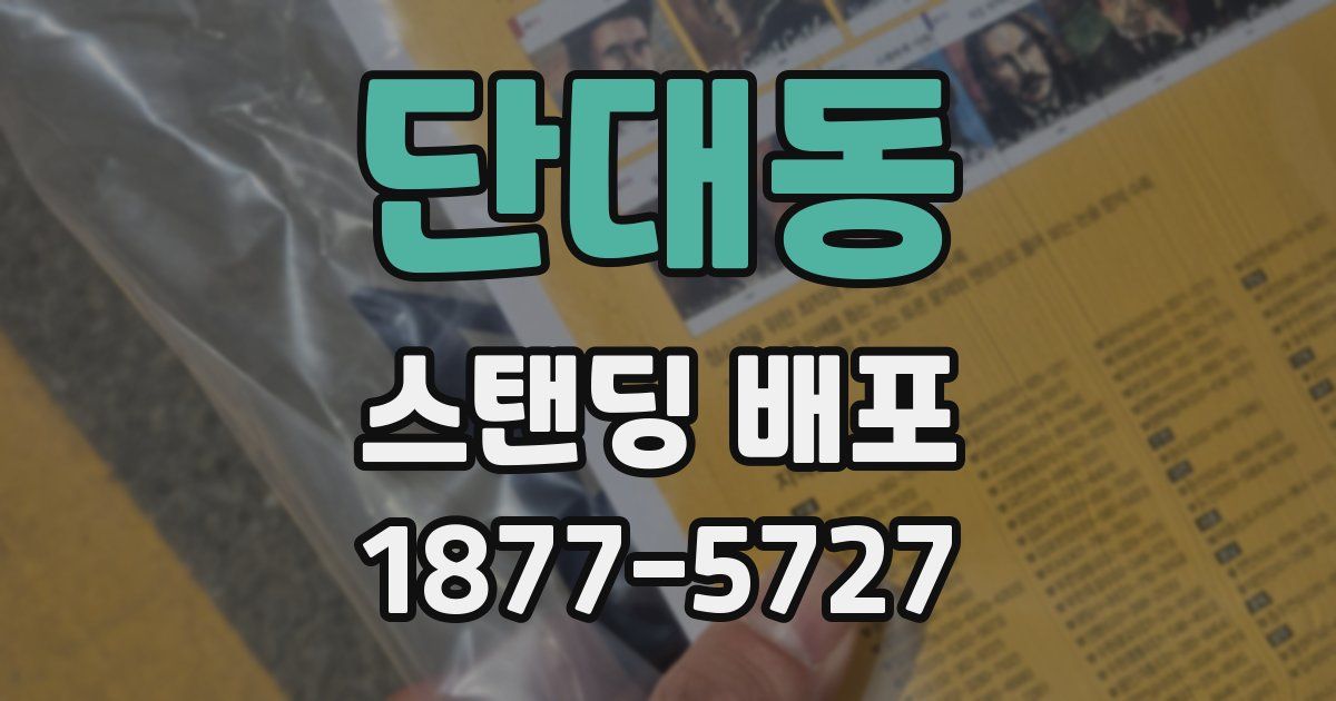 단대동 스탠딩 배포