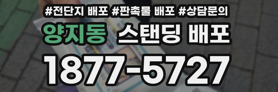 양지동 스탠딩 배포
