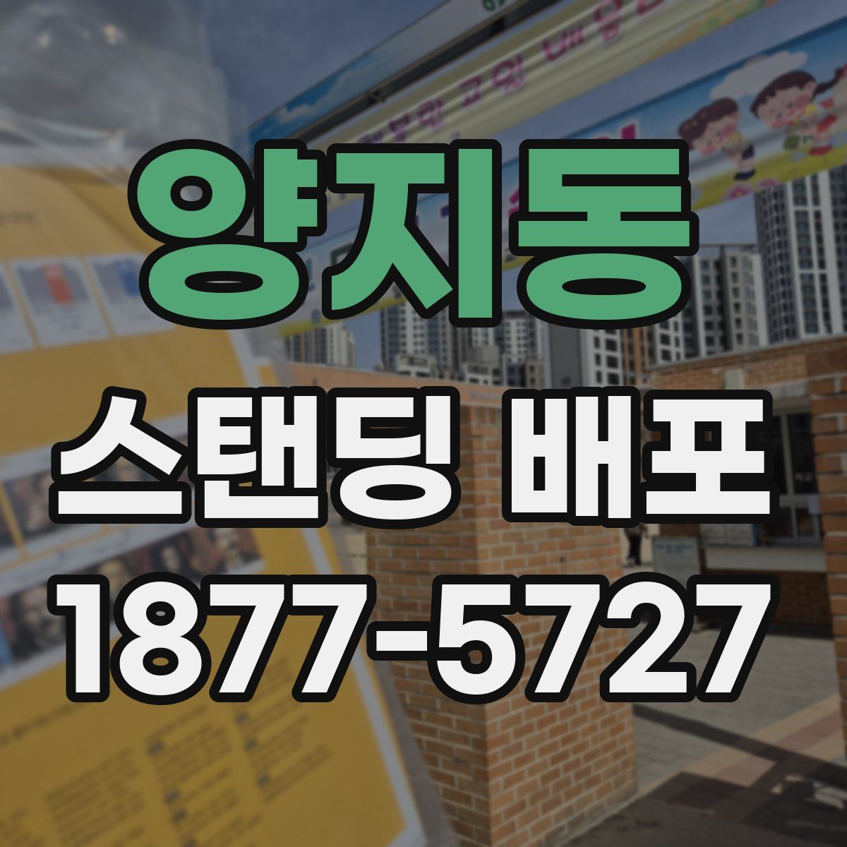 양지동 스탠딩 배포