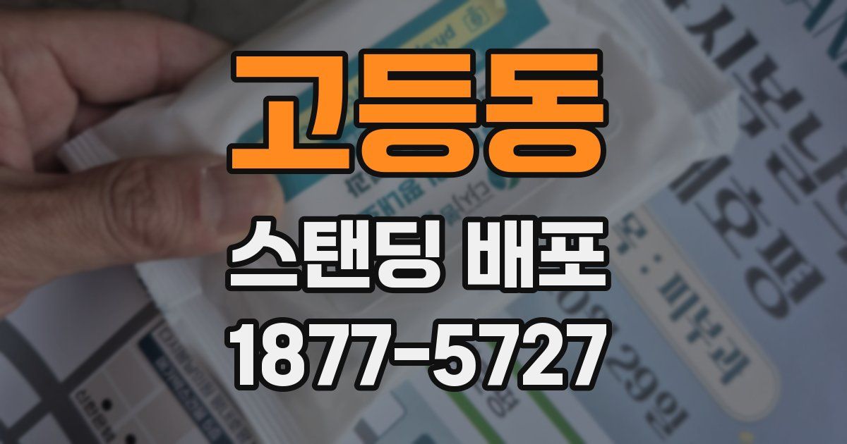 고등동 스탠딩 배포