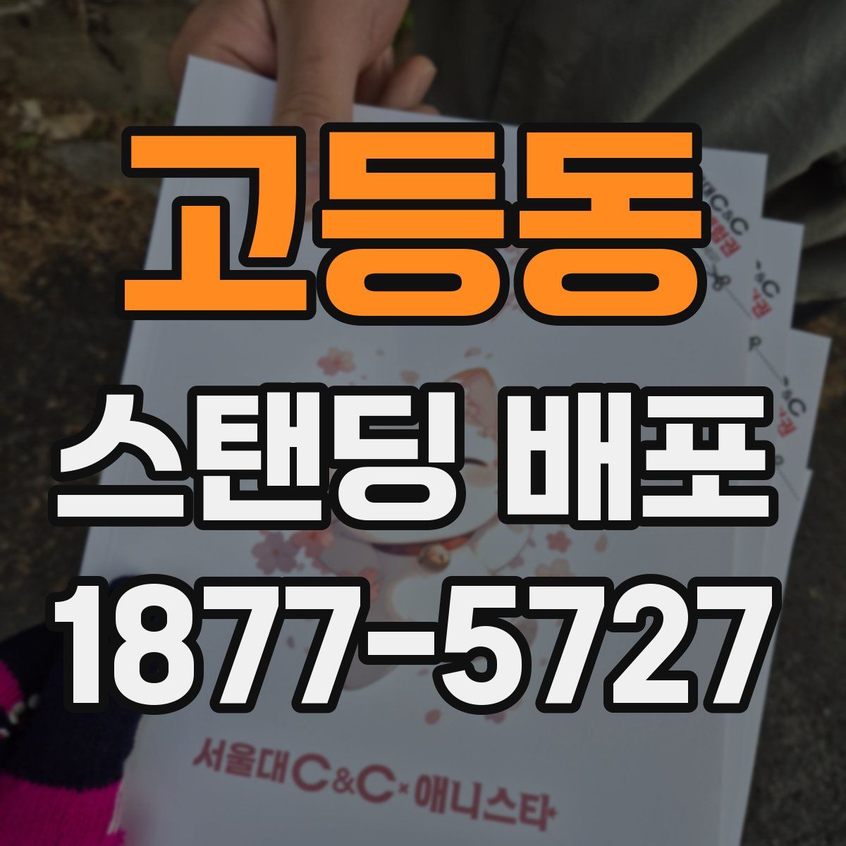 고등동 스탠딩 배포