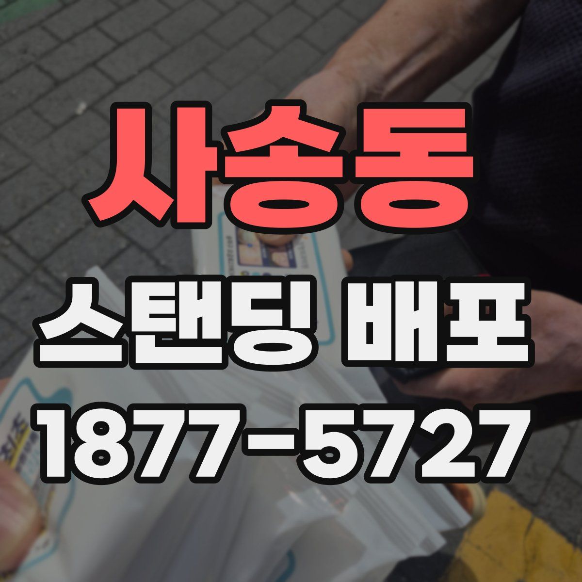 사송동 스탠딩 배포