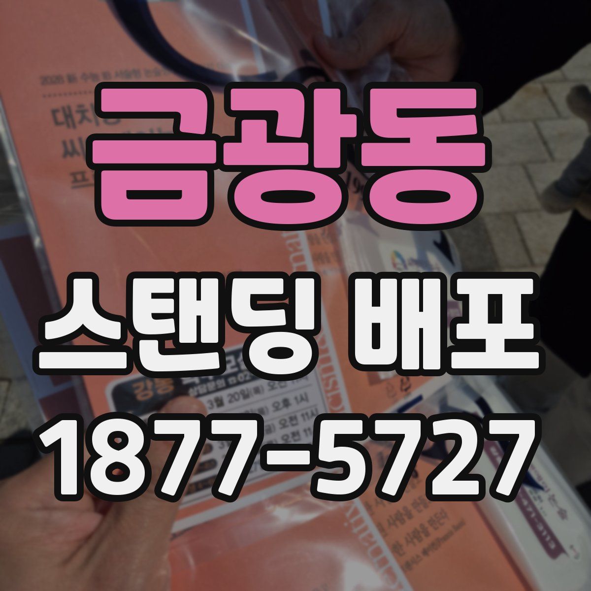 금광동 스탠딩 배포