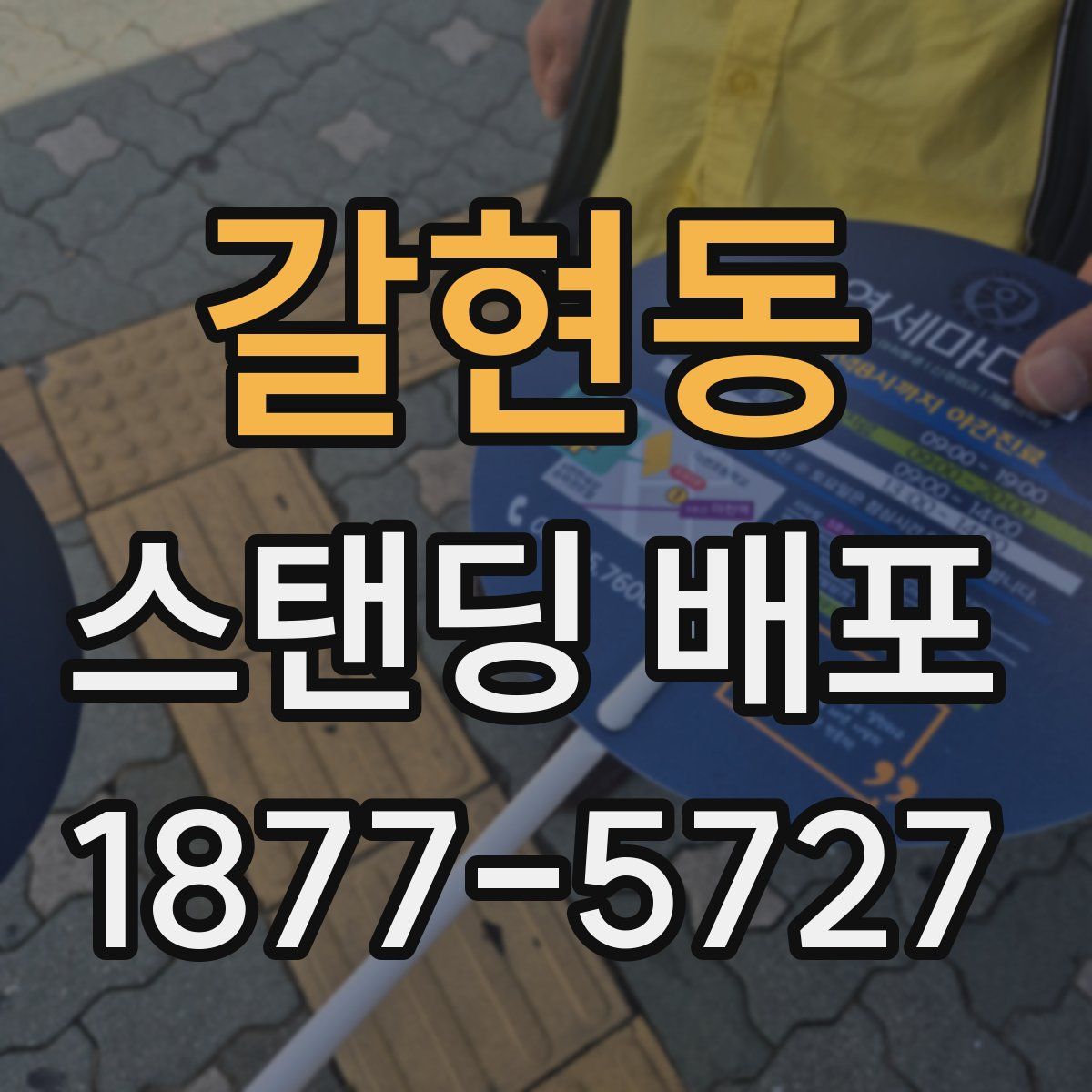 갈현동 스탠딩 배포