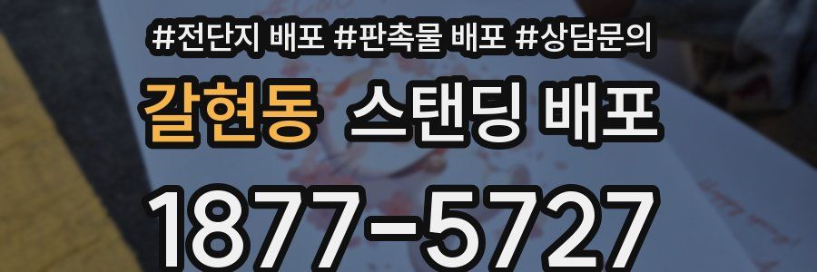 갈현동 스탠딩 배포