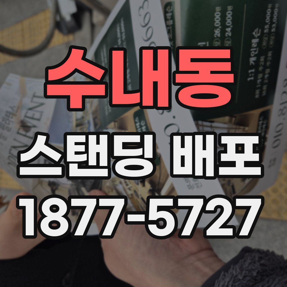 수내동 스탠딩 배포