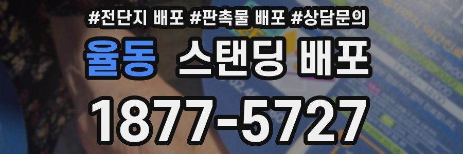 율동 스탠딩 배포