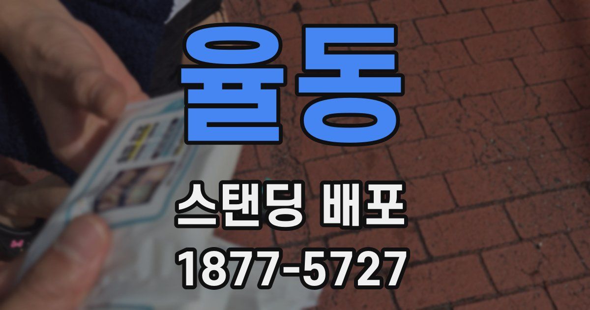 율동 스탠딩 배포