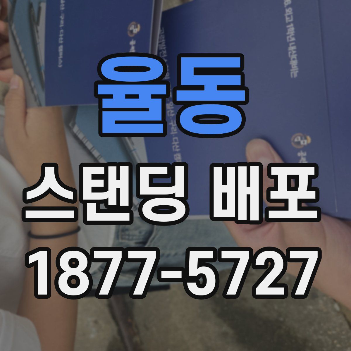 율동 스탠딩 배포