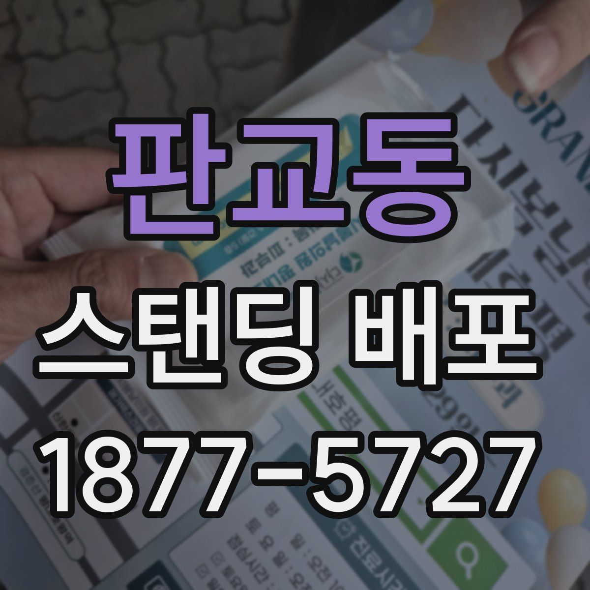 판교동 스탠딩 배포