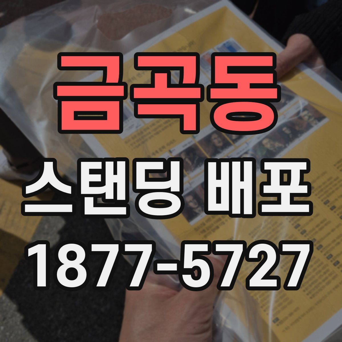 금곡동 스탠딩 배포