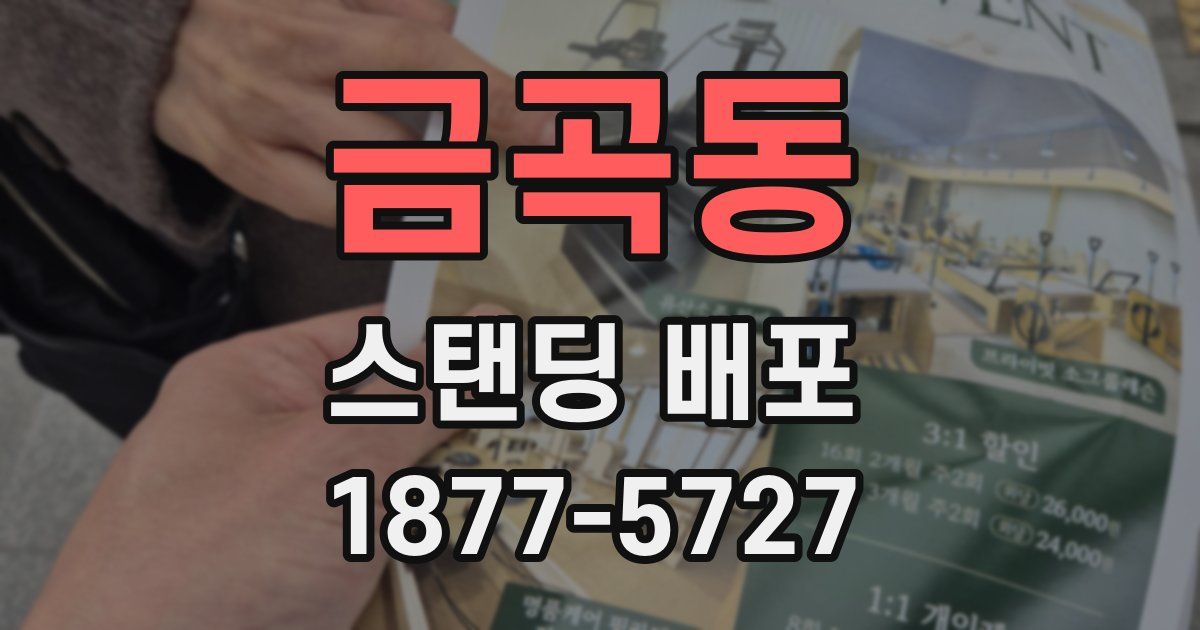 금곡동 스탠딩 배포