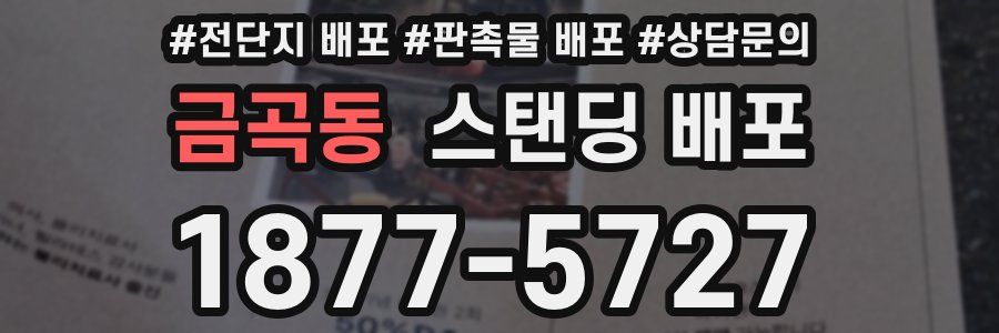 금곡동 스탠딩 배포