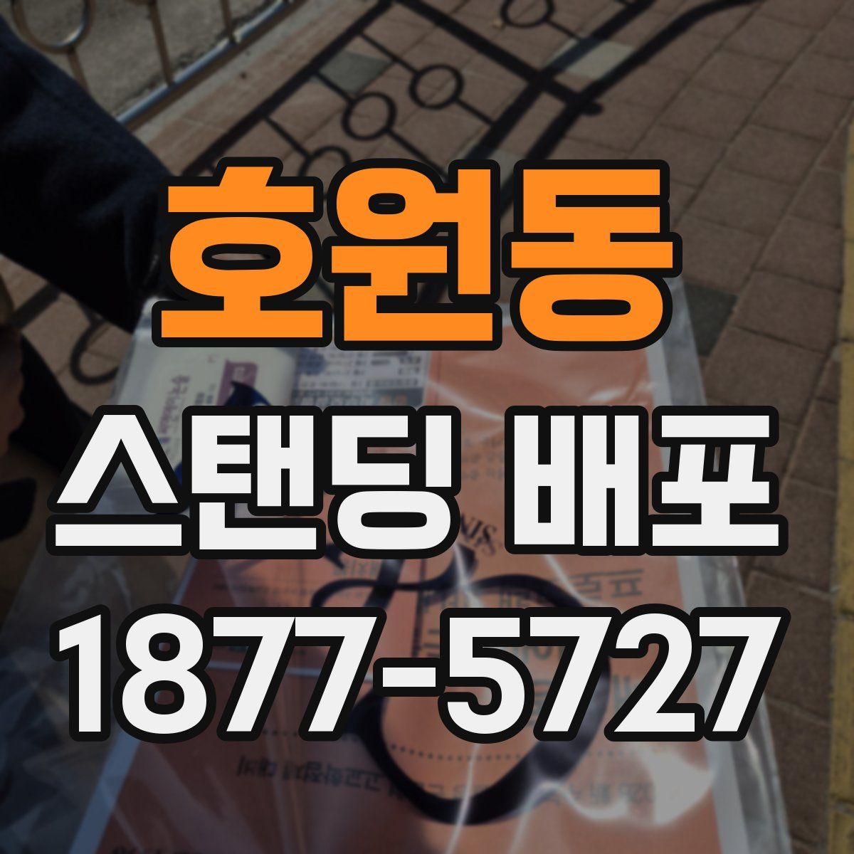 호원동 스탠딩 배포