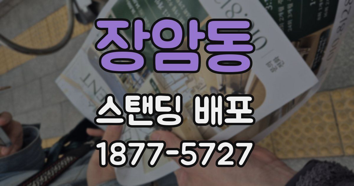 장암동 스탠딩 배포