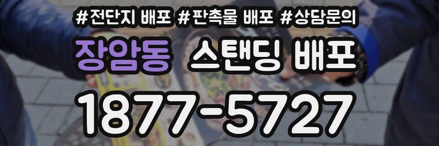 장암동 스탠딩 배포