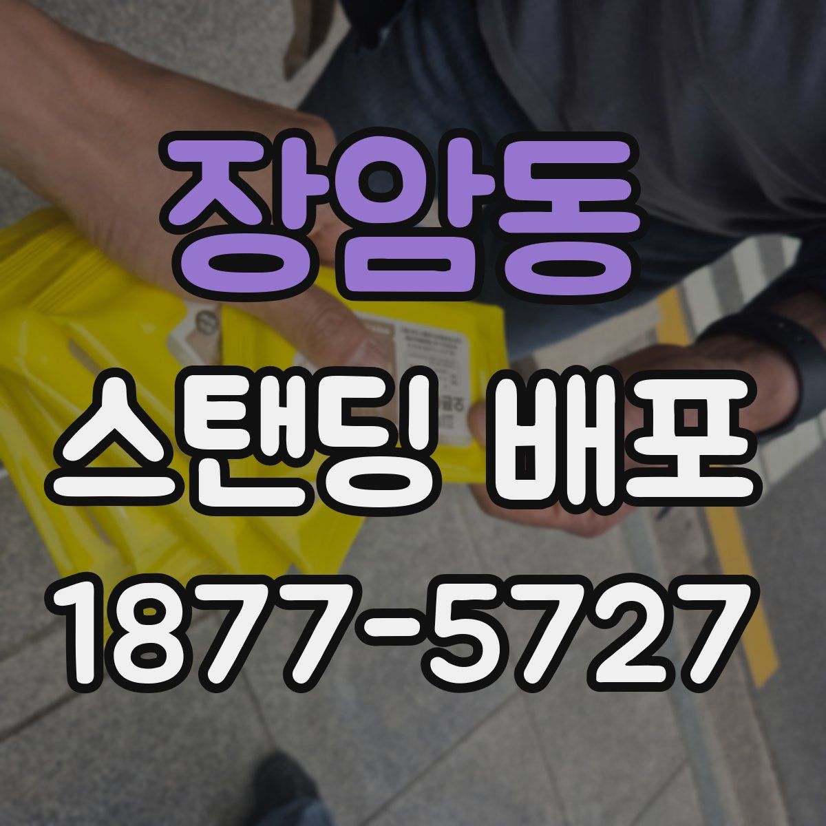 장암동 스탠딩 배포