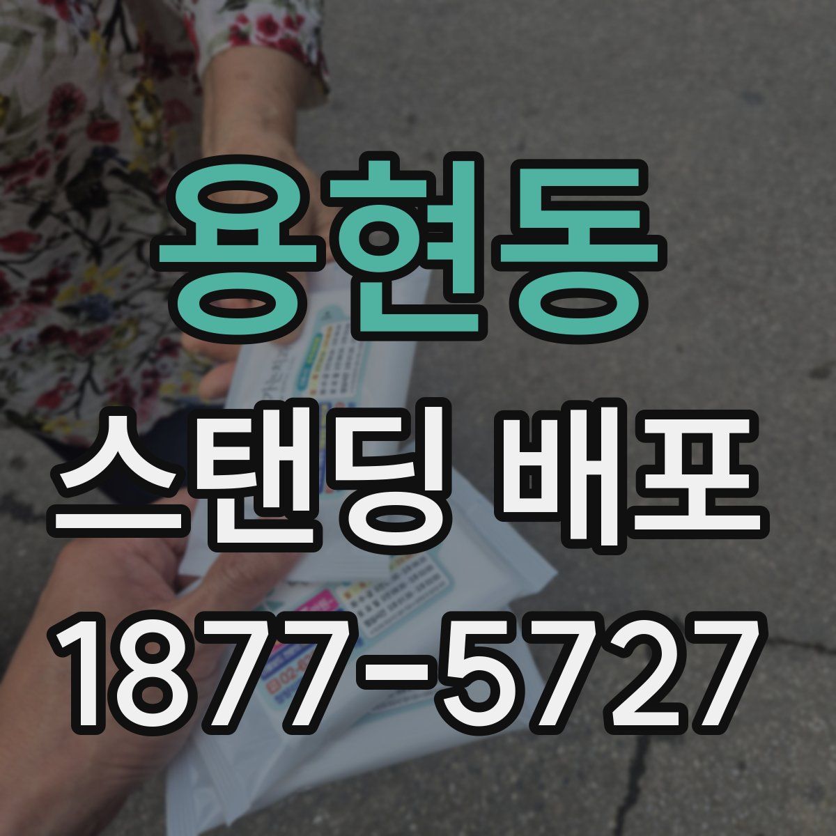 용현동 스탠딩 배포