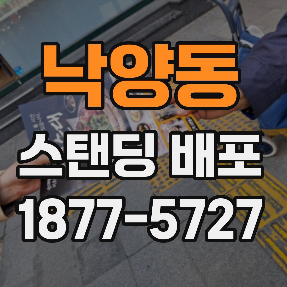 낙양동 스탠딩 배포
