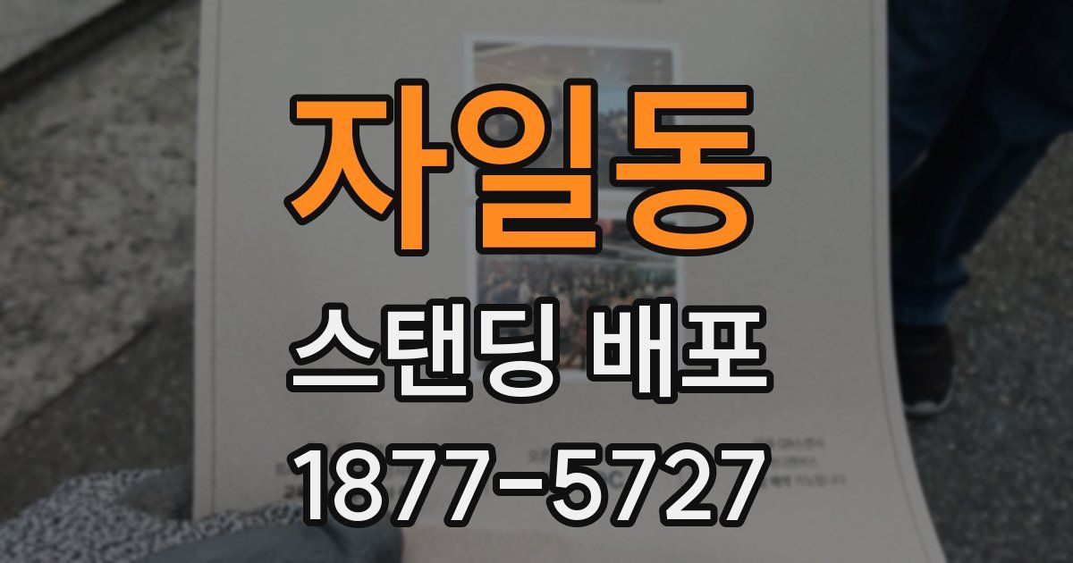 자일동 스탠딩 배포