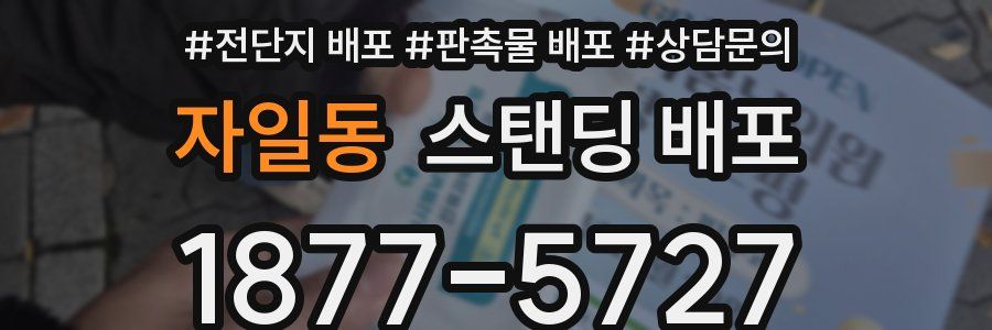 자일동 스탠딩 배포