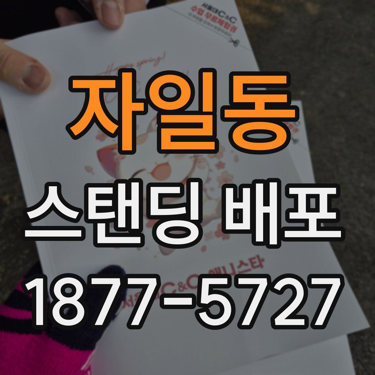 자일동 스탠딩 배포