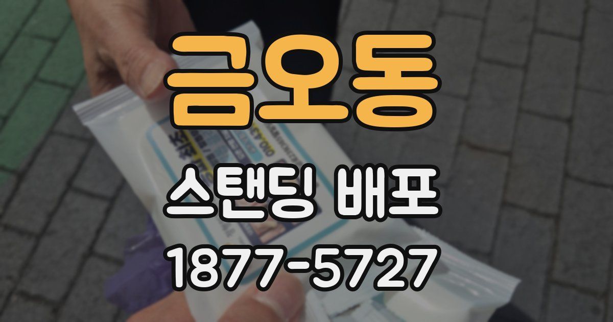 금오동 스탠딩 배포