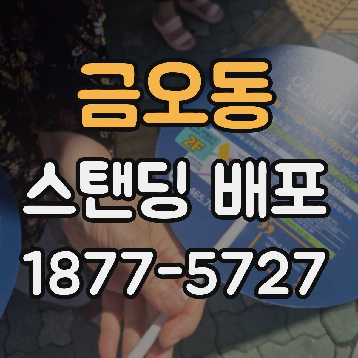 금오동 스탠딩 배포