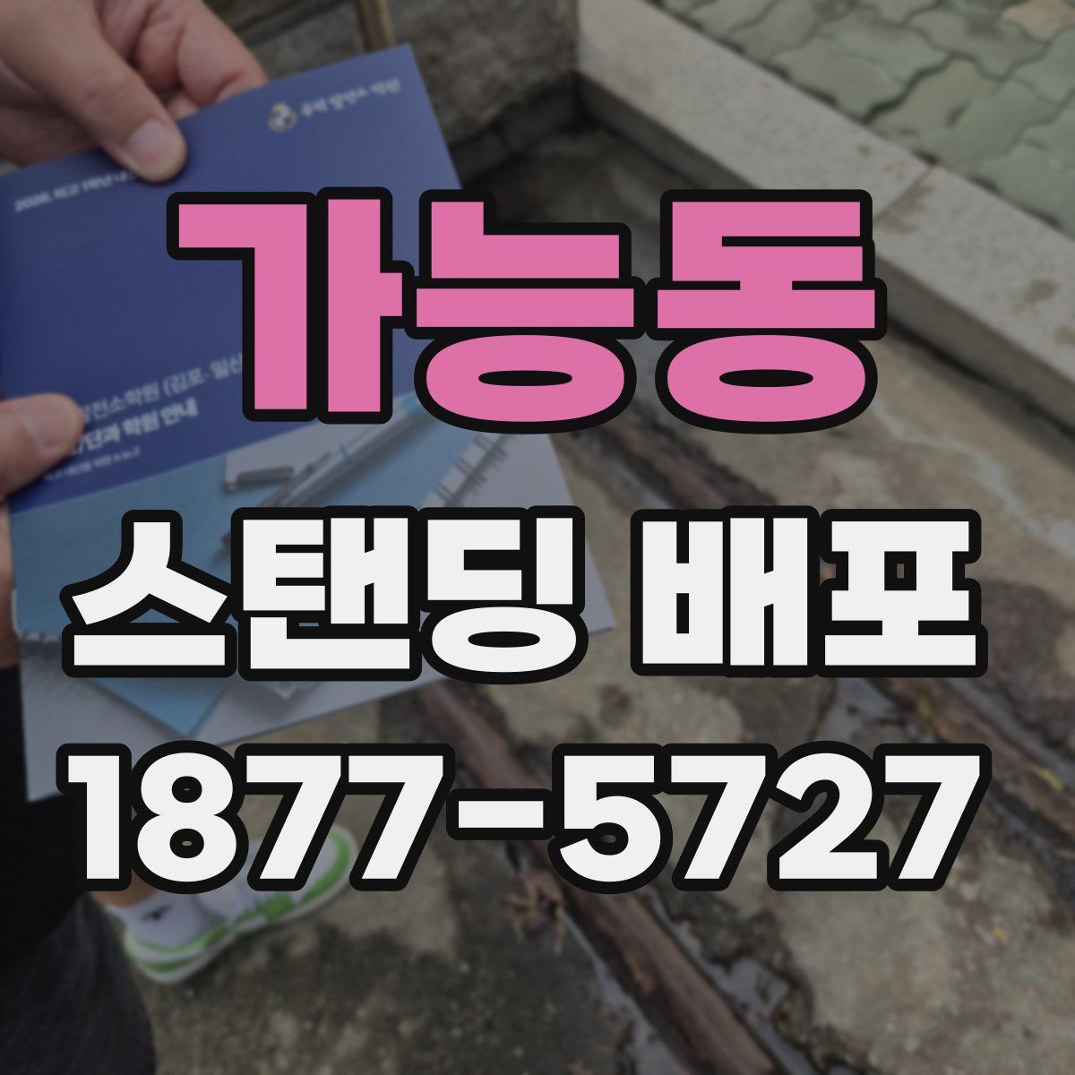 가능동 스탠딩 배포