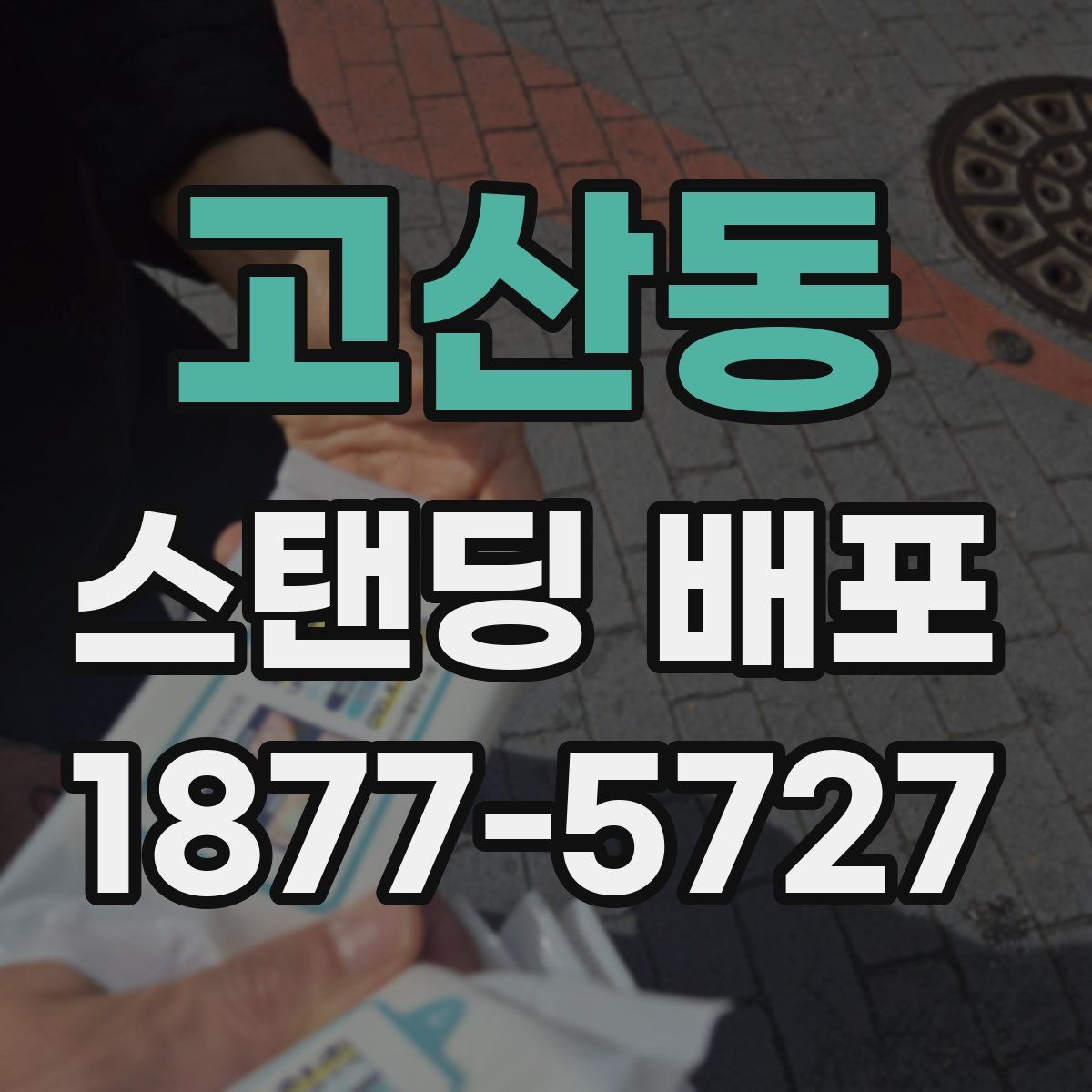 고산동 스탠딩 배포