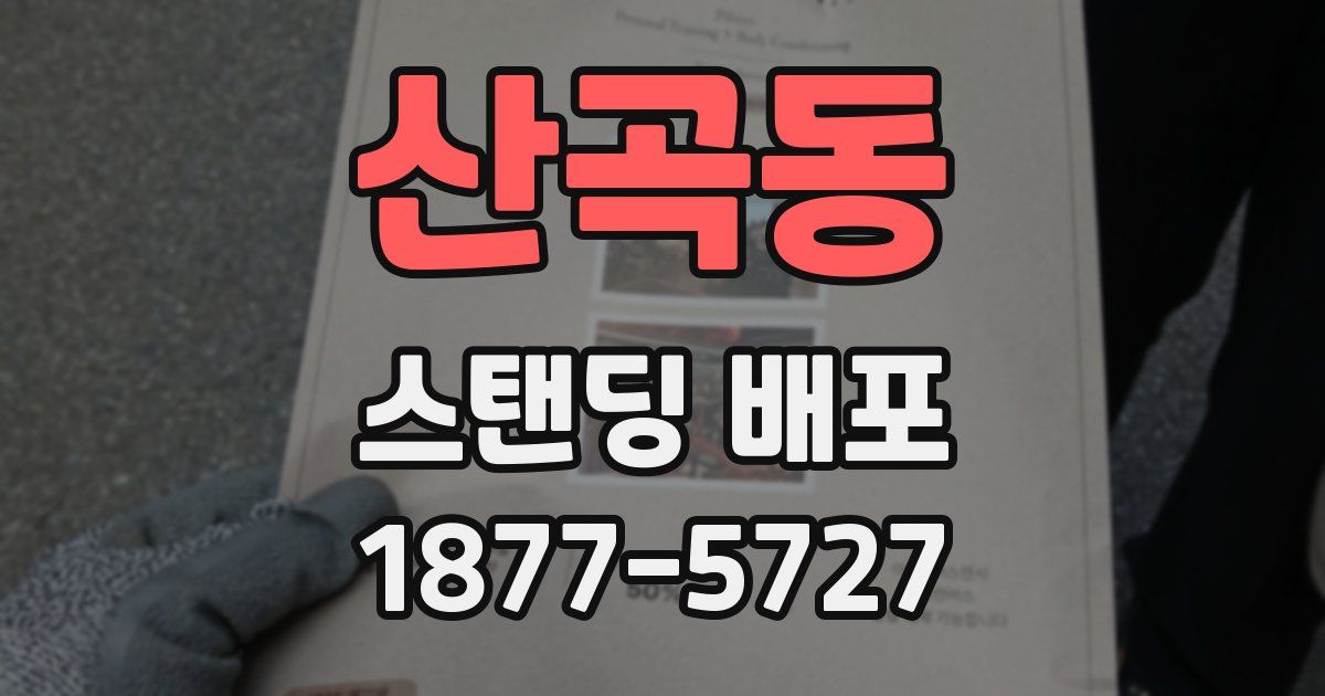 산곡동 스탠딩 배포