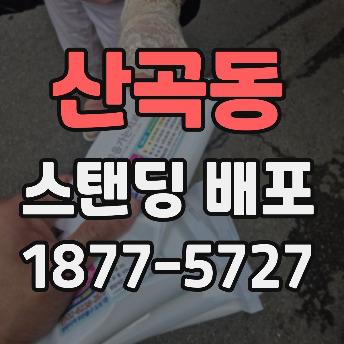 산곡동 스탠딩 배포