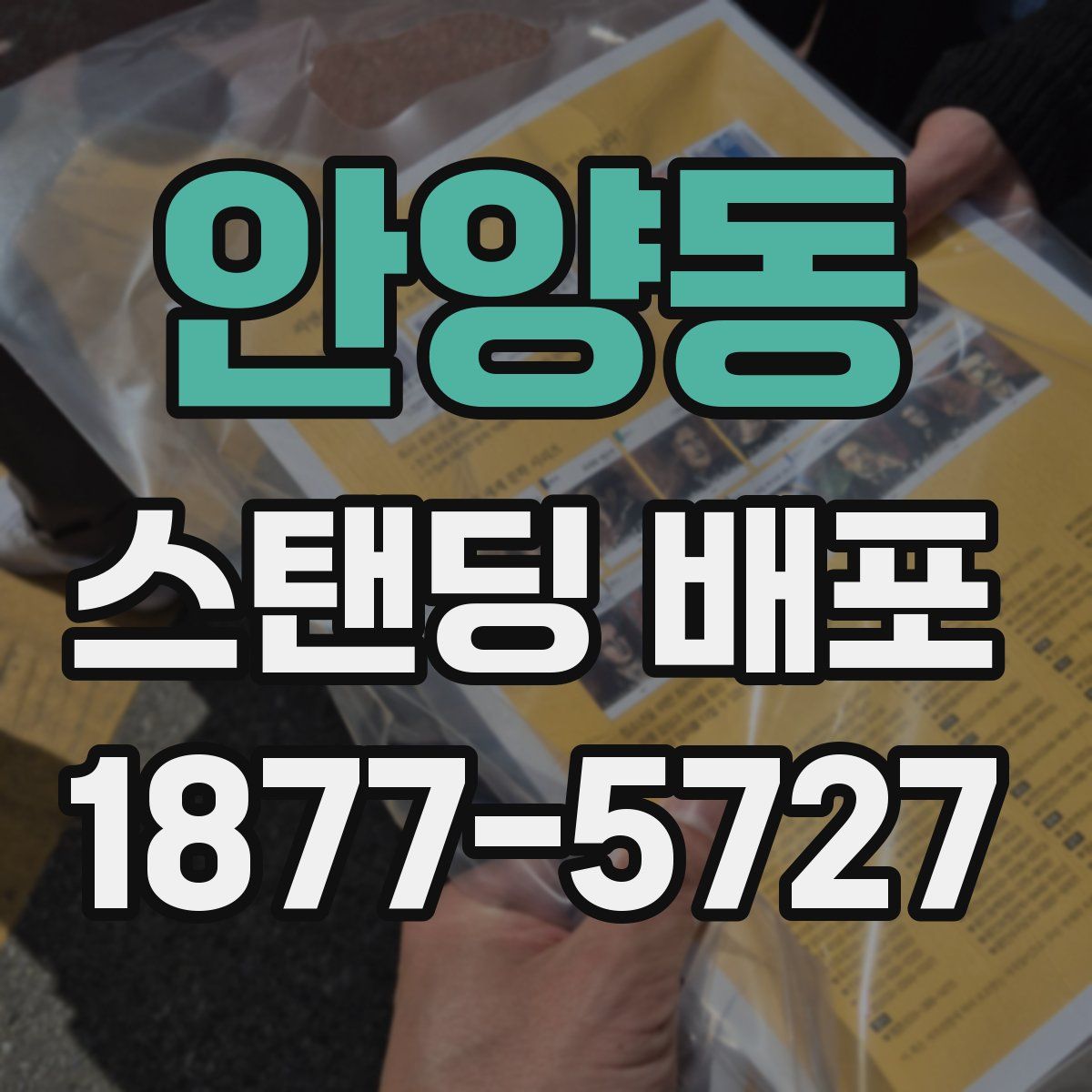 안양동 스탠딩 배포