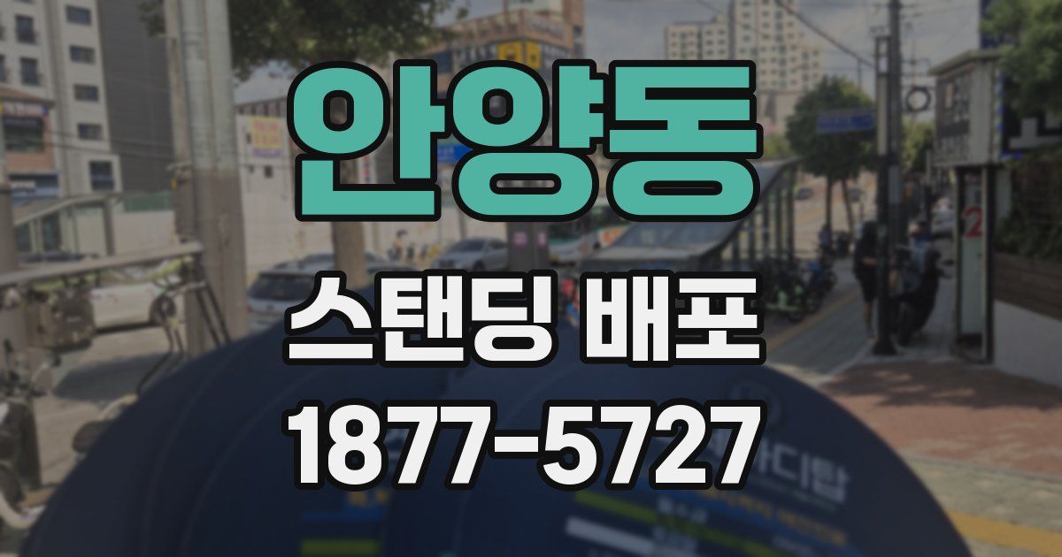 안양동 스탠딩 배포