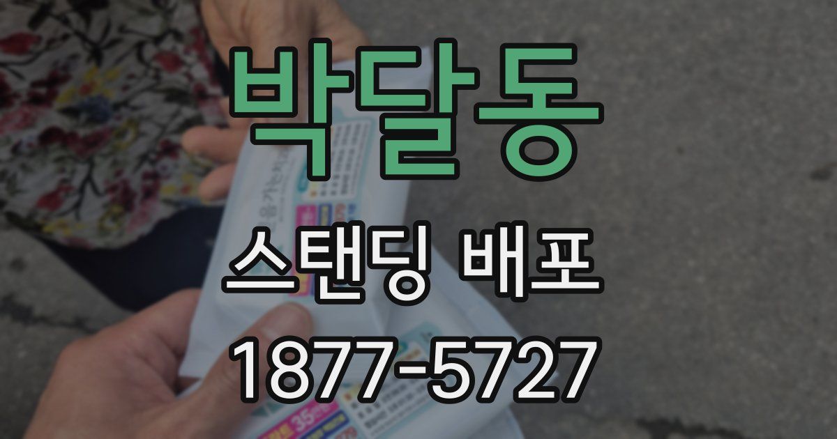 박달동 스탠딩 배포
