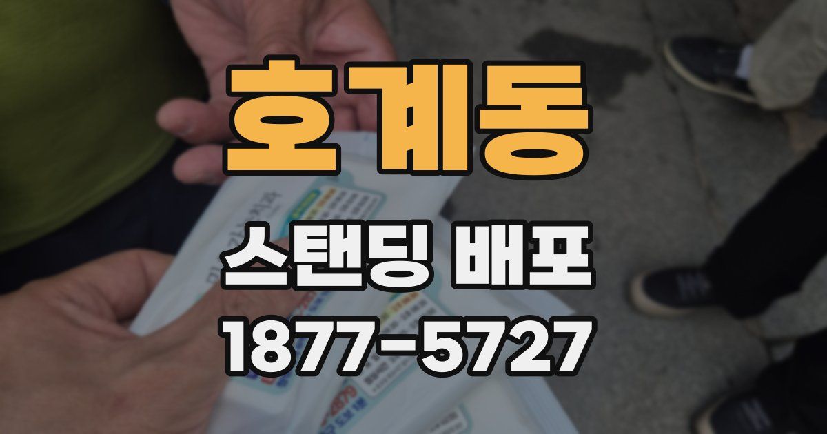 호계동 스탠딩 배포