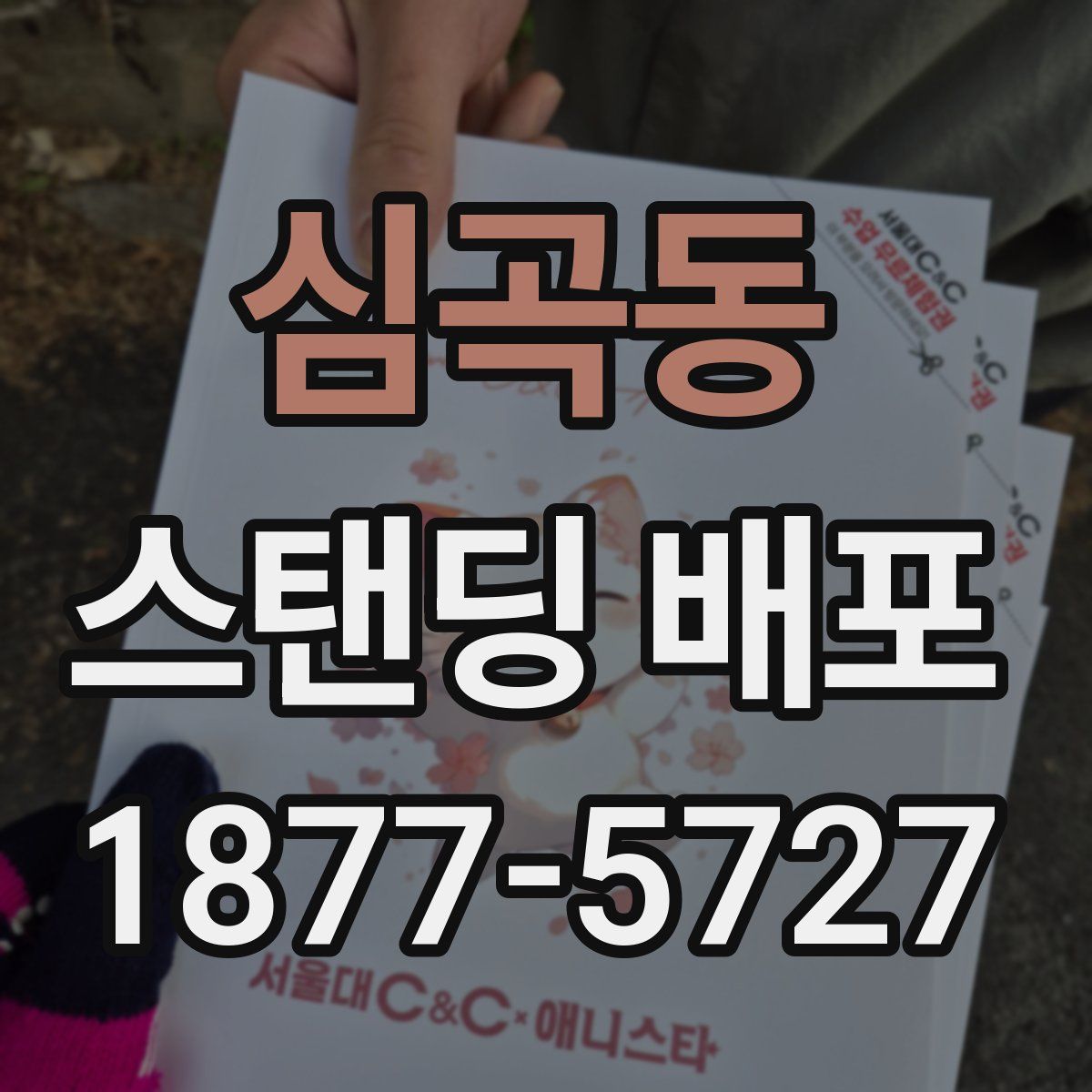 심곡동 스탠딩 배포