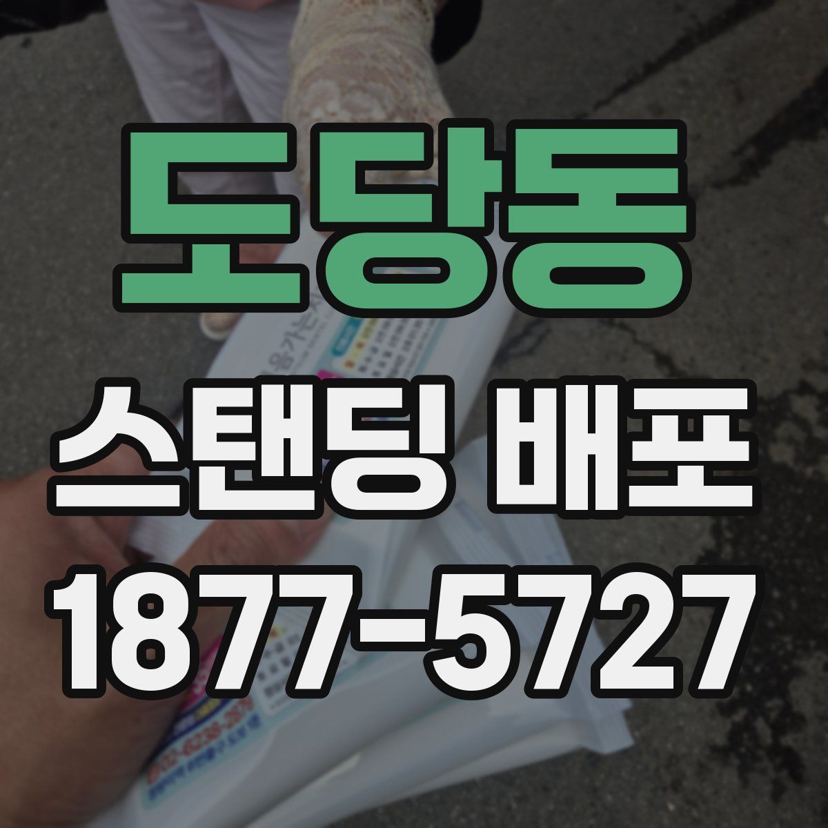 도당동 스탠딩 배포
