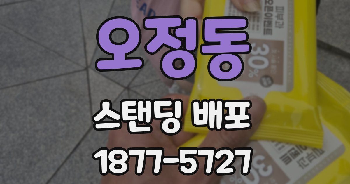 오정동 스탠딩 배포